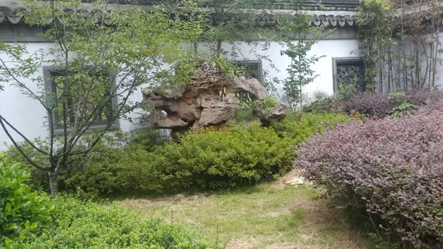 There are green vegetation around this rockery