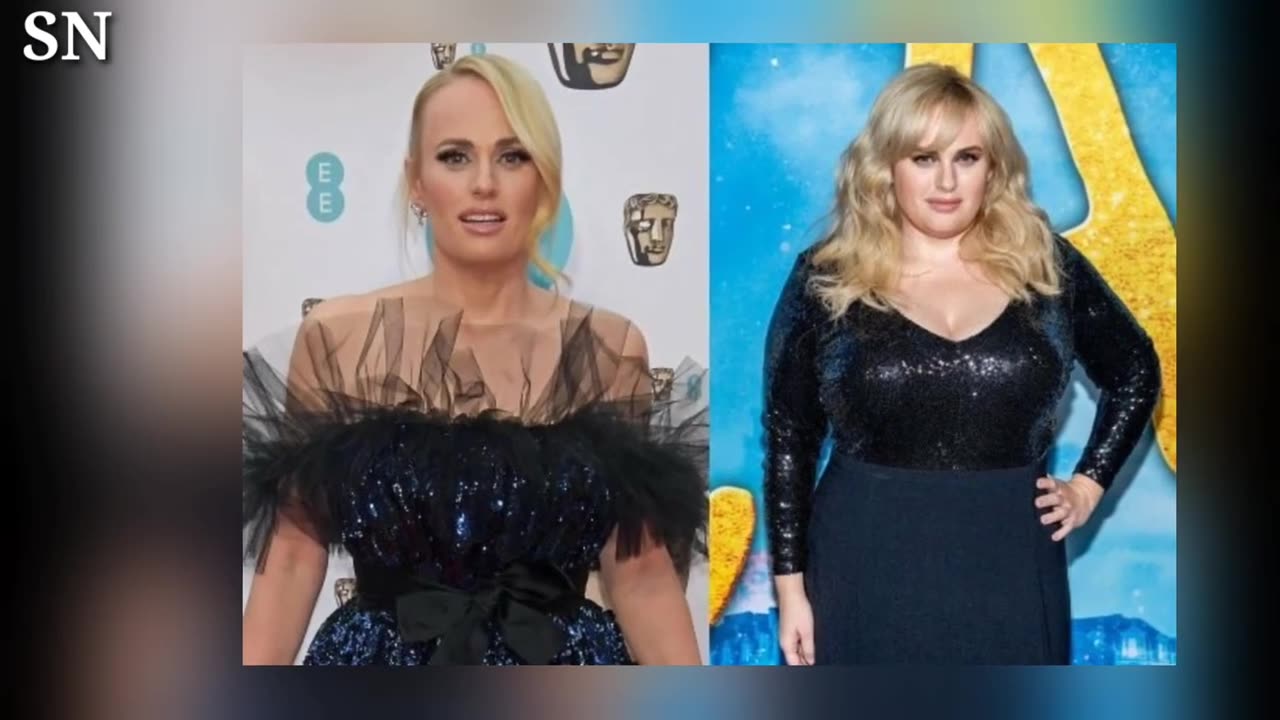 Rebel Wilson Reveals If She's Ready for Another Baby