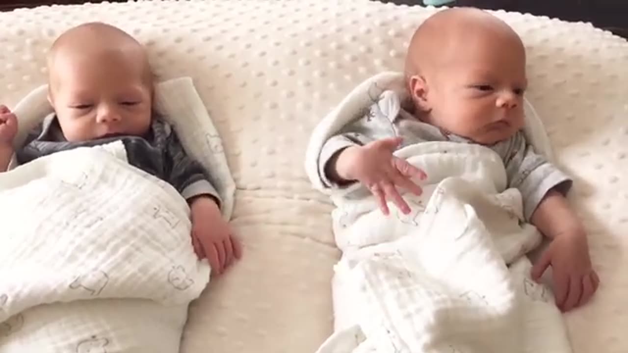 Funny Baby Video