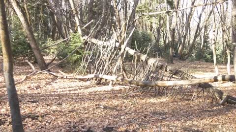 More Structures Found After the Fire