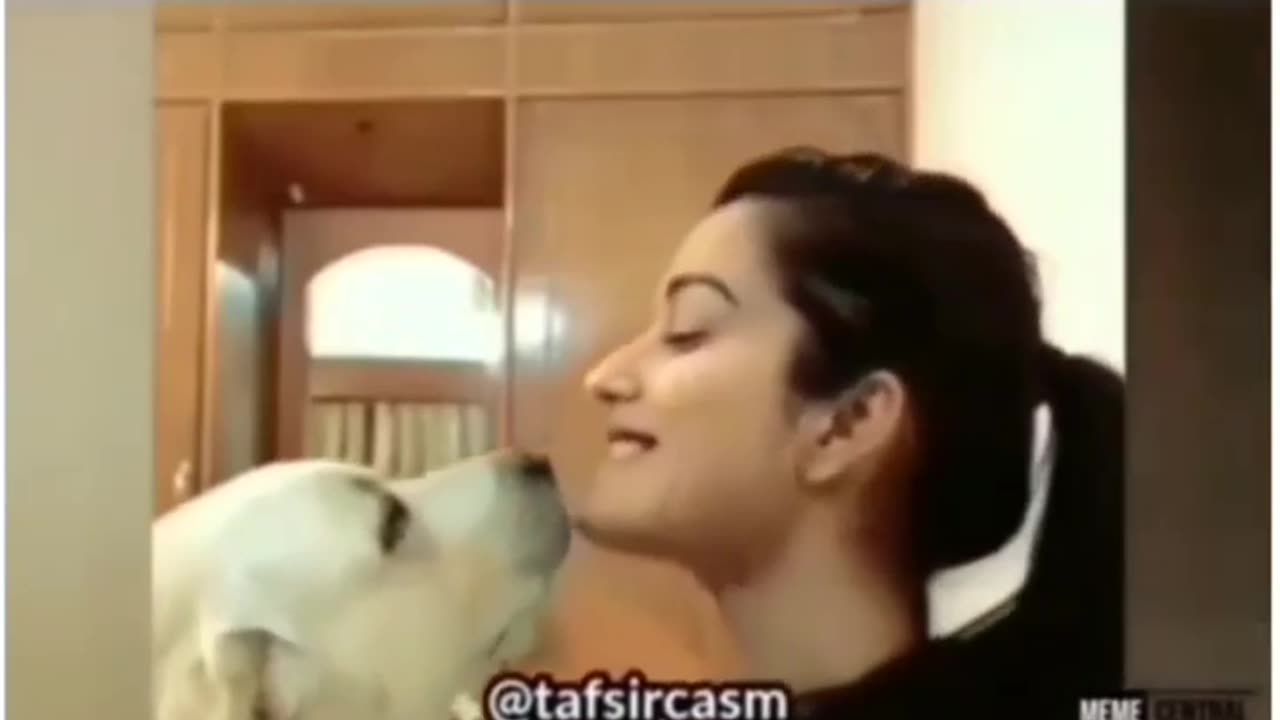 #funny dog with girl#