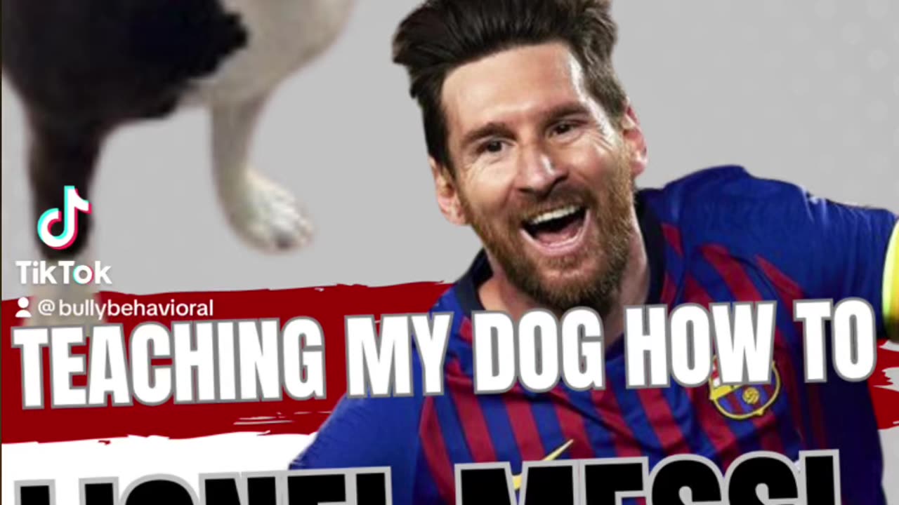 Teaching My Dog How To Lionel Messi