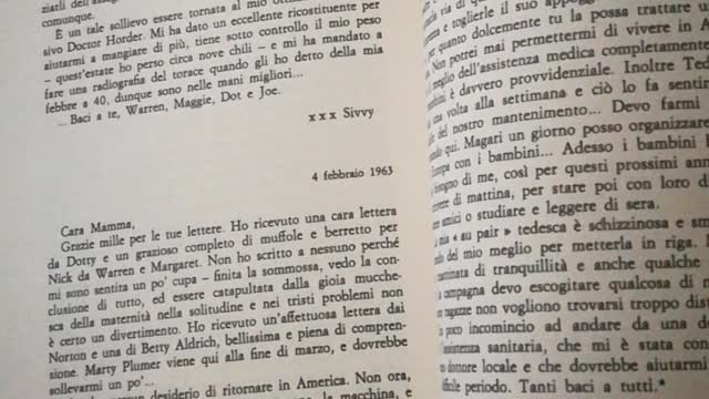 Le lettere di Sylvia Plath alla madre