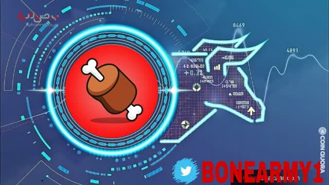 SHIBASWAP Explodes To #1 DEX Globally As SHIBARIUM Approaches | BONE Token Soars 50%