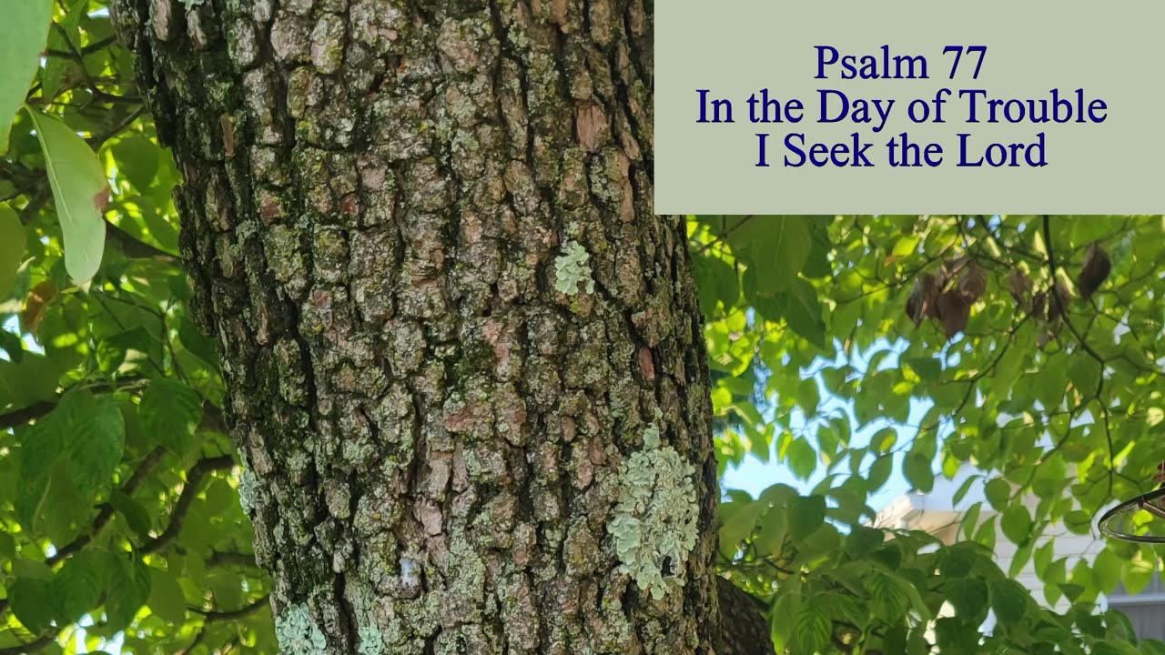 Psalm 77 - ESV Audio