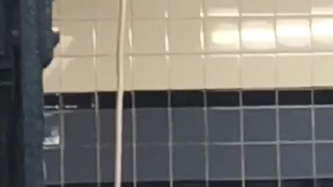 Man in red hat has extension cord connected to ceiling