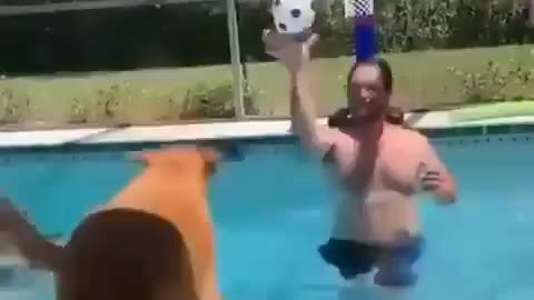 DOG DUNK...