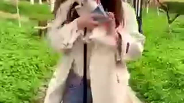 Cute and Funny TikTok Dog Videos Compilations 🐶 2021 Part