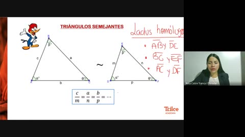 TRILCE ANUAL SM 2022 | SEMANA 11 | GEOMETRÍA