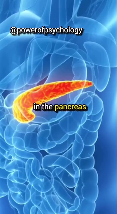 LADY SPEAKS ON BLEACHED FLOUR