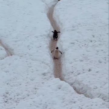 You are going the wrong way !!! Lol