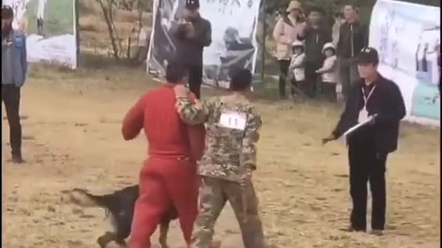 Dog Police Training 🐕