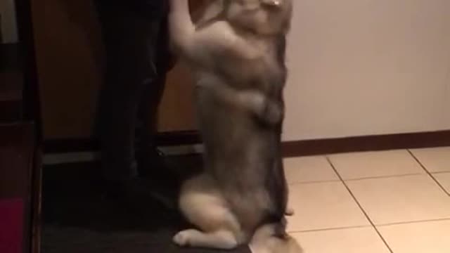 Long-awaited meeting!