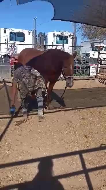 Bubbles - February update