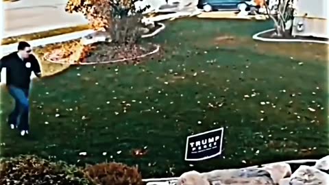 Man electrified his Trump sign and set up a camera for people to come steal it