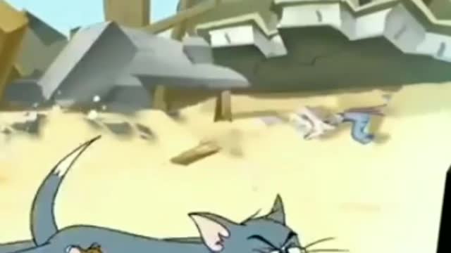 Tom and Jerry 😄😄