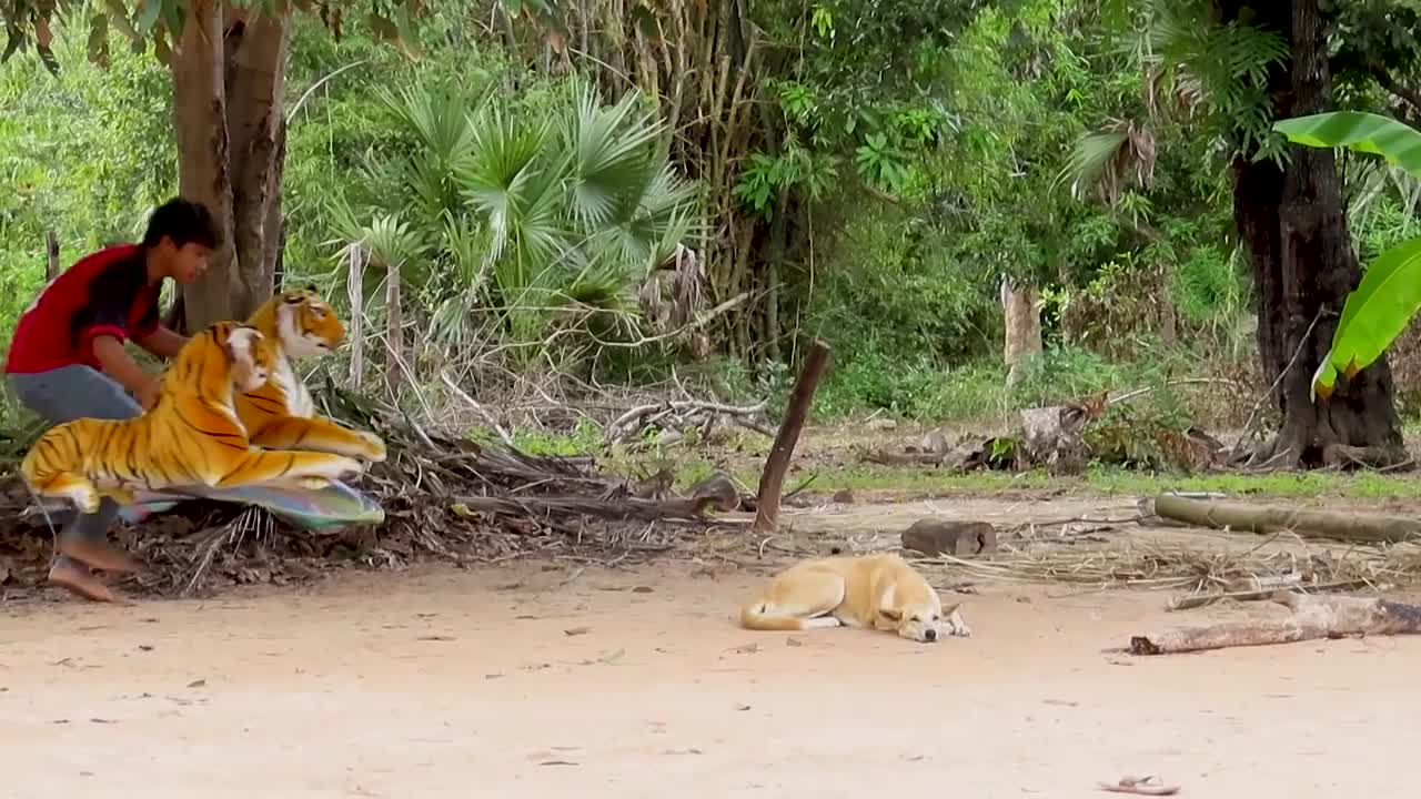 Dog reaction with fake Tiger