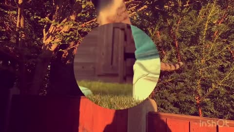 do you have any pets