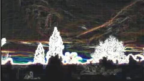 Freaked Out In San Diego