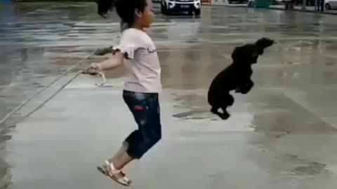 Little girl and puppy play rope jump together