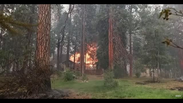 US consider declaring climate emergency as wildfires tear through California