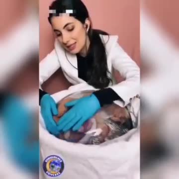 artificial and extracorporal pregnancy