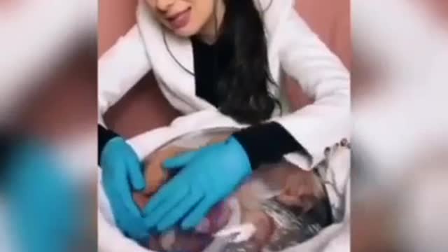 artificial and extracorporal pregnancy