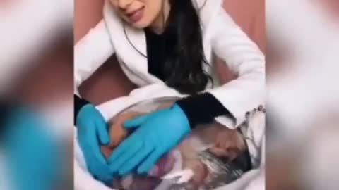 artificial and extracorporal pregnancy