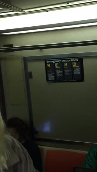 Butterfly on emergency sign on subway