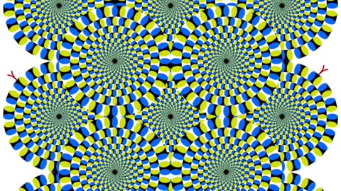 An optical illusion. The circles, like snakes, rotate in different directions.