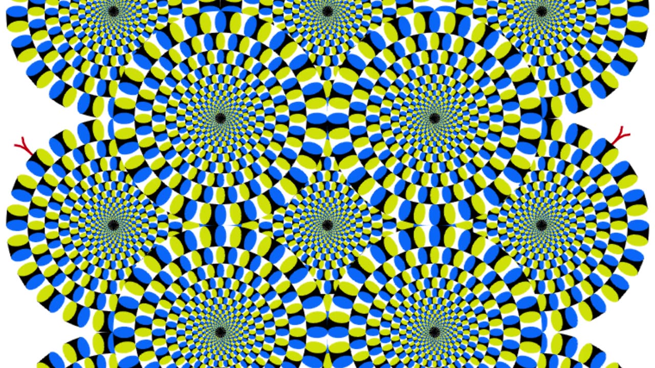 An optical illusion. The circles, like snakes, rotate in different directions.