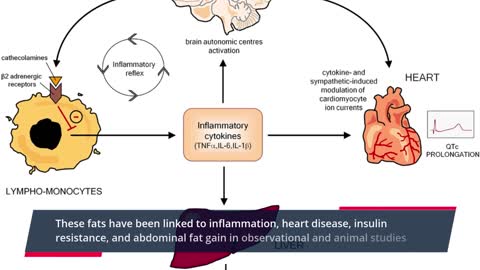 BODY FAT/WEIGHT LOSS