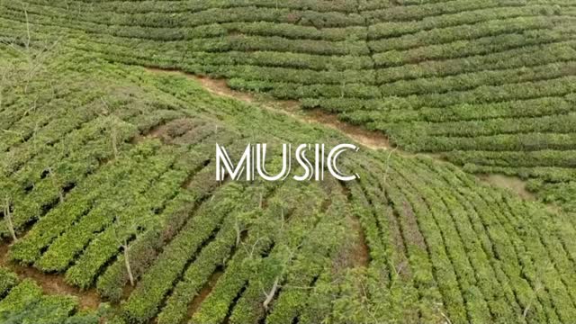 natural-Relaxing music