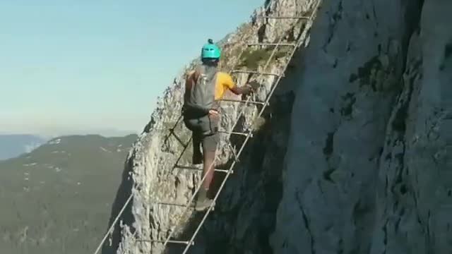 Nature, Climb this ladder if you dare