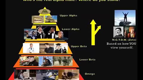 VON BASTER - O QUE É MGTOW