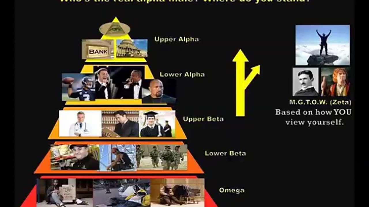 VON BASTER - O QUE É MGTOW