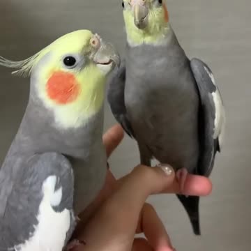 Everyone loves a good #loveceremony 🥰 • •