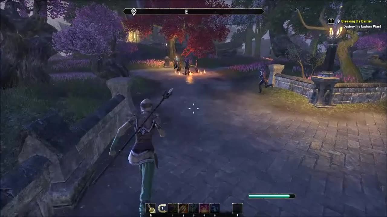The Elder Scrolls Online Part 22-Firsthold (No Commentary)