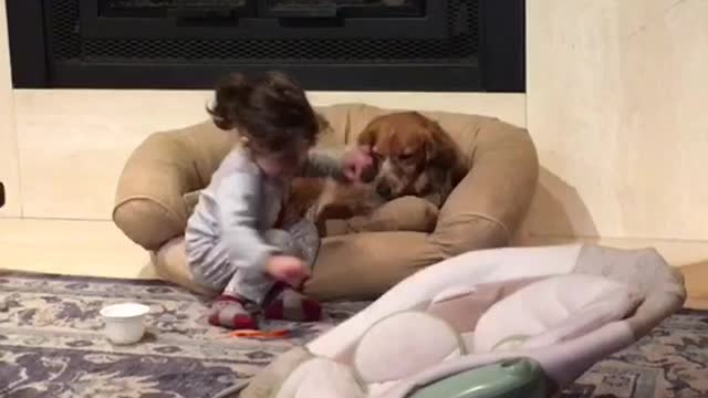 Little Girl Shares Cereal With Her Puppy