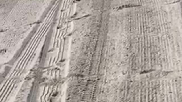 Guy practices surf moves on the sand before hitting the waves