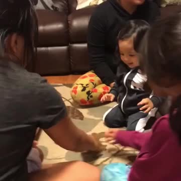 Toddler Nails Water Bottle Flip On His First Try