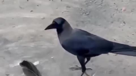 What lesson did you learn from this?