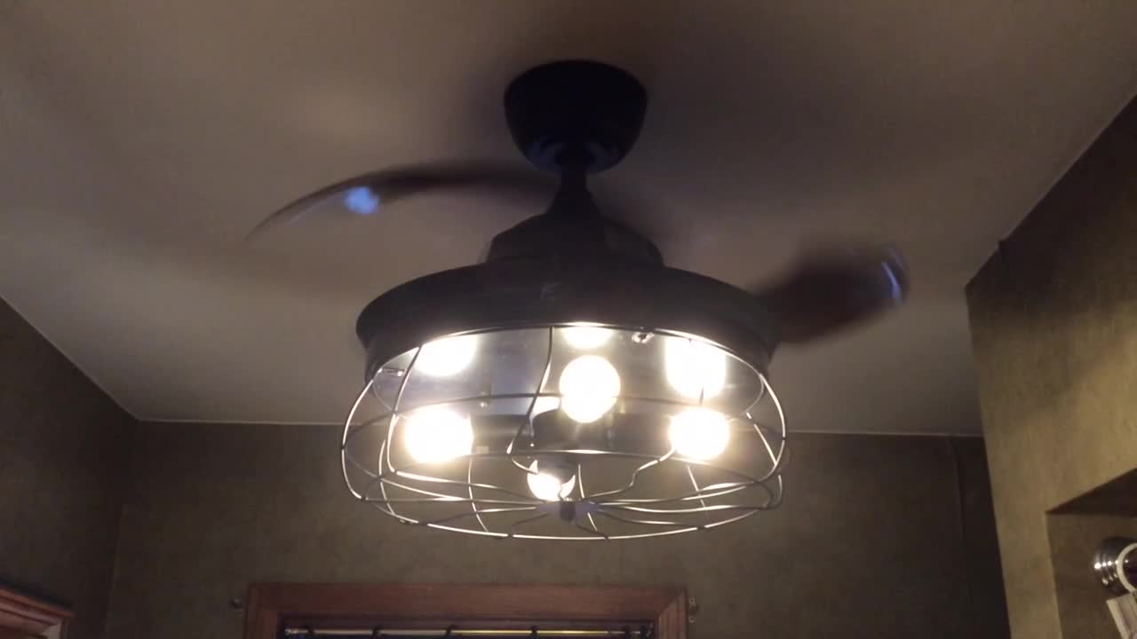 Parrot Retracting blade Ceiling fan