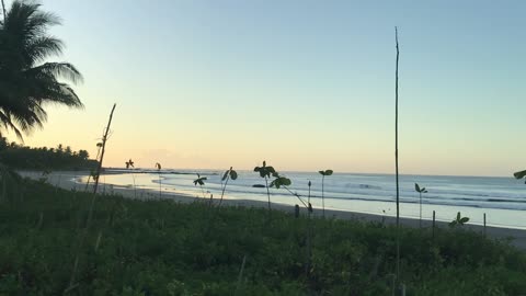 Dec 16/24 6am Moon at the Beach