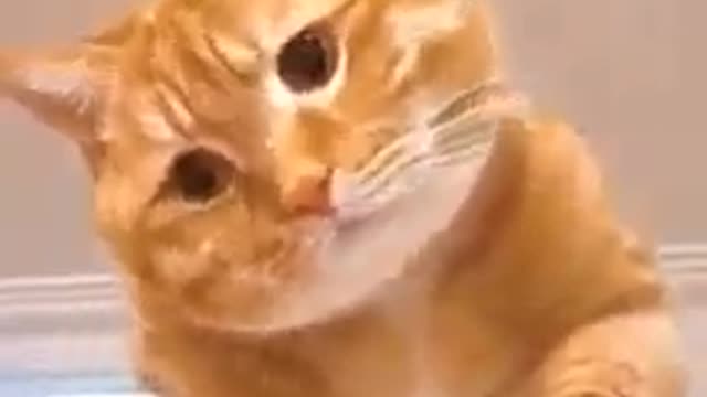 what do u think i am cute