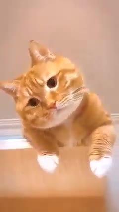 what do u think i am cute