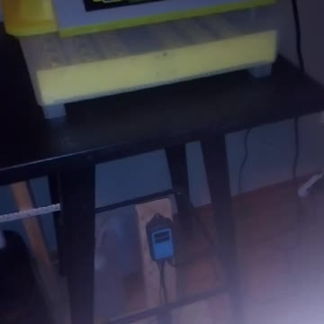 First Video on Rumble ever