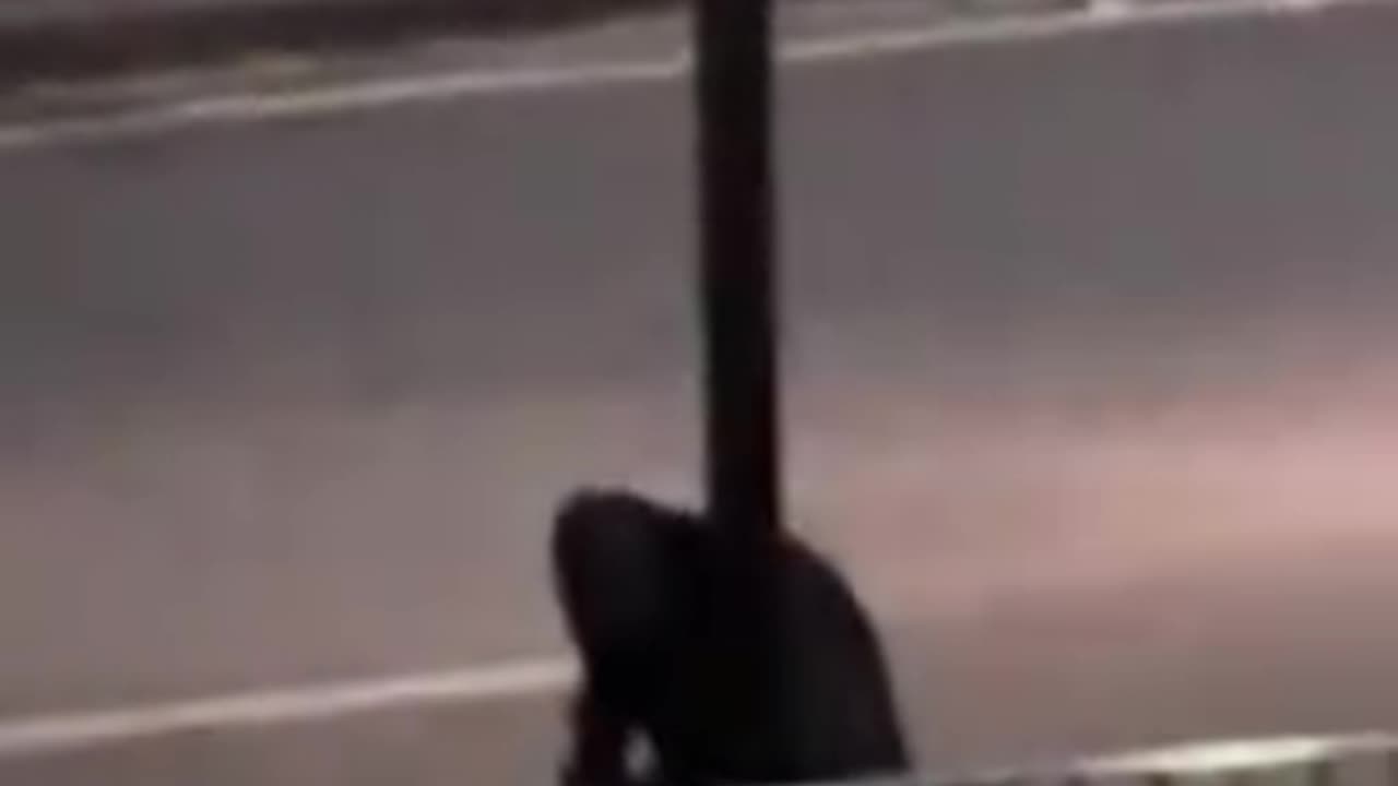 London Blade Runners cut down the new ULEZ carbon-tracking cameras in London