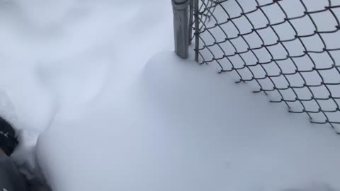 Barefoot in the Snow