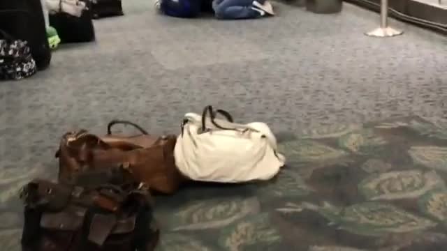 Multiple People Killed During Shooting at Fort Lauderdale Airport on January 6, 2017